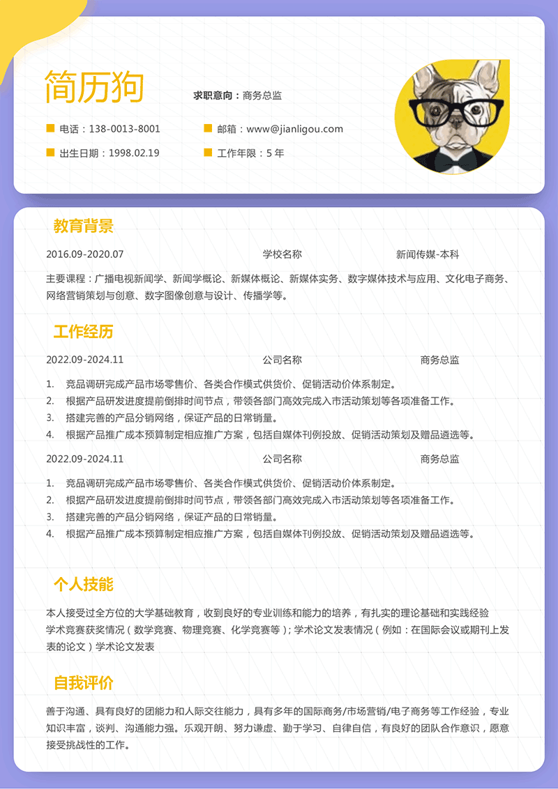 商务总监简历模板