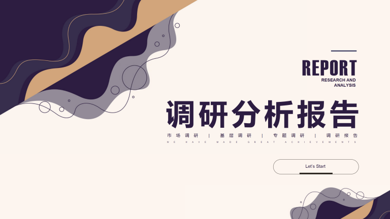 简约专题调研分析报告