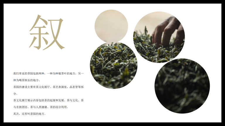 中国风茶文化营销模板_05.png